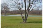 Property photo 78 - REAL ESTATE & PERSONAL PROPERTY AUCTION, 140 Acres offered in 8 Tracts or Combinations in Steuben County